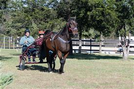 LR-WRF 10182025 Retreat-6411